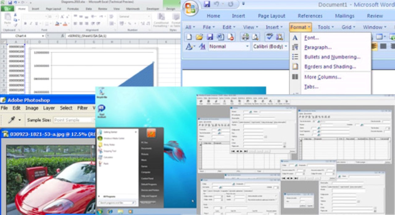Venda de Software de Gestão e outros Softwares 