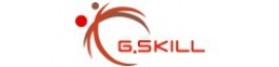 Gskill Gskill