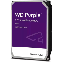 Disco Rígido Western Digital Purple 1TB 3.5´ 64MB Cache (WD11PURZ)
